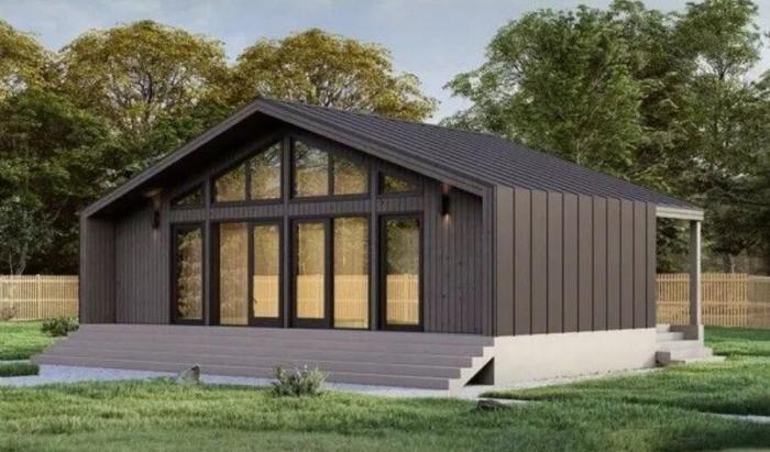 ������ ����������� ���� ��-�-65