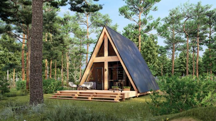 ������ ����������� ���� ��-�-67